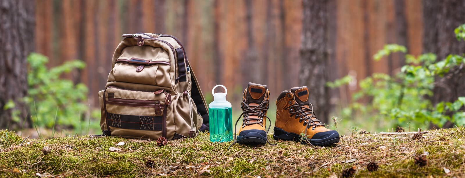 Hiking gear in forest
